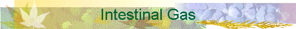 Intestinal Gas
