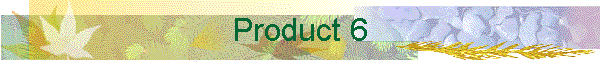 Product 6