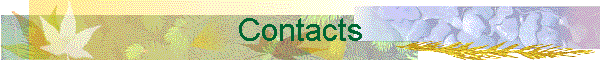 Contacts