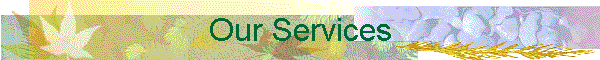 Our Services